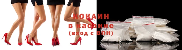 прущие грибы Алексин