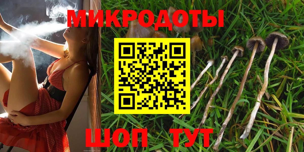 Прохладный  Галлюциногенные грибы MAGIC MUSHROOMS  Вход с VPN 
