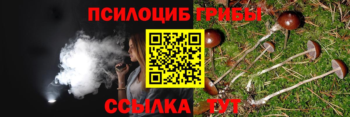 Псилоцибиновые грибы ЛСД Прохладный