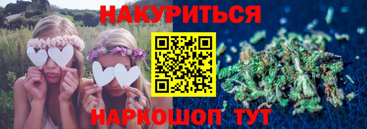 Шишки марихуана гибрид Прохладный