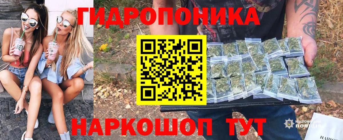 Каннабис White Widow  Вход с VPN  Каннабис семена  Бошки Шишки сатива  Прохладный  Бошки марихуана марихуана 
